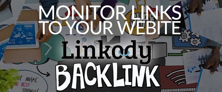 Why Linkody is a preferred SEO link management tool?
